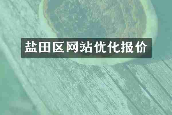 盐田区网站优化报价