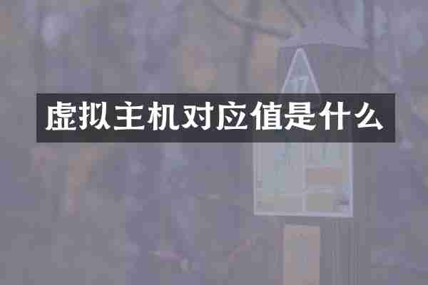 虚拟主机对应值是什么