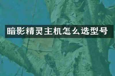 暗影精灵主机怎么选型号