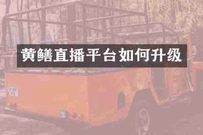 黄鳝直播平台如何升级