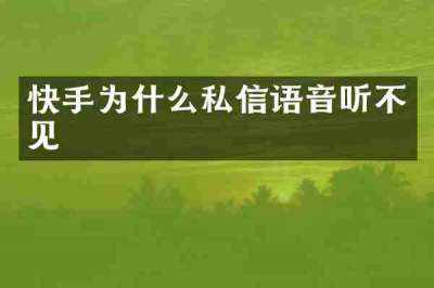 快手为什么私信语音听不见
