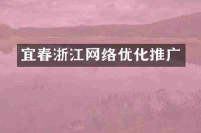 宜春浙江网络优化推广