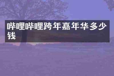 哔哩哔哩跨年嘉年华多少钱