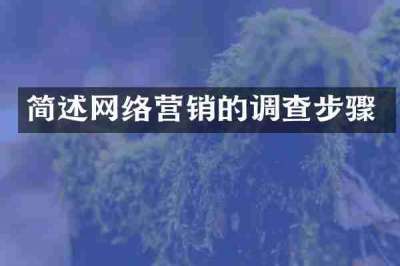 简述网络营销的调查步骤
