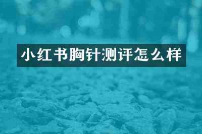 小红书胸针测评怎么样