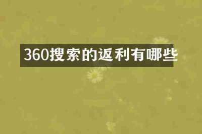 360搜索的返利有哪些