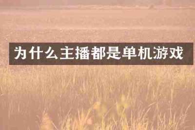 为什么主播都是单机游戏