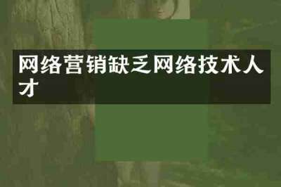 网络营销缺乏网络技术人才