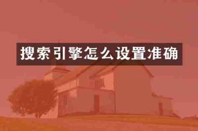 搜索引擎怎么设置准确