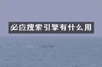 必应搜索引擎有什么用