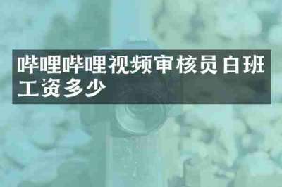 哔哩哔哩视频审核员白班工资多少