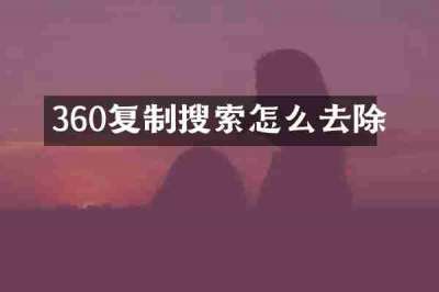 360复制搜索怎么去除