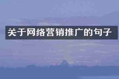 关于网络营销推广的句子