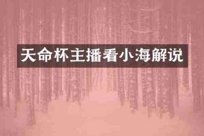 天命杯主播看小海解说