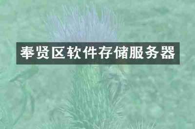 奉贤区软件存储服务器