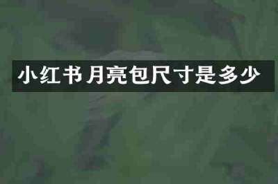 小红书月亮包尺寸是多少