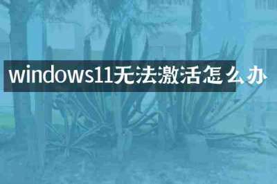 windows11无法激活怎么办