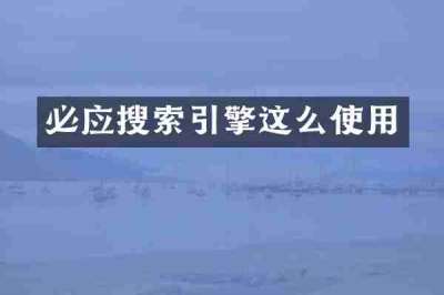 必应搜索引擎这么使用