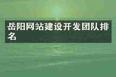 岳阳网站建设开发团队排名