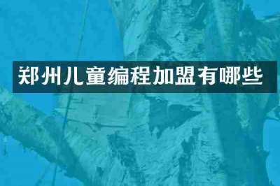 郑州儿童编程加盟有哪些