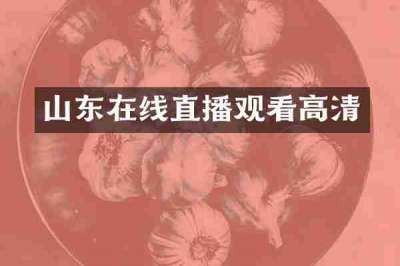 山东在线直播观看高清