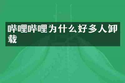 哔哩哔哩为什么好多人卸载