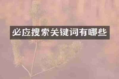 必应搜索关键词有哪些