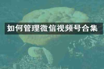 如何管理微信视频号合集