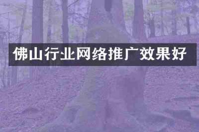 佛山行业网络推广效果好