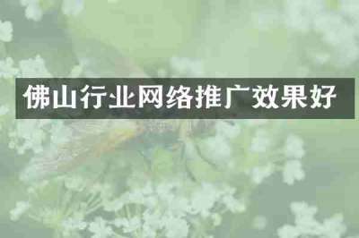 佛山行业网络推广效果好