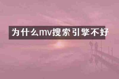 为什么mv搜索引擎不好