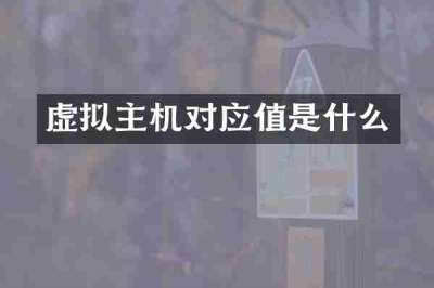虚拟主机对应值是什么