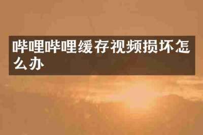 哔哩哔哩缓存视频损坏怎么办