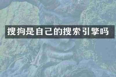 搜狗是自己的搜索引擎吗