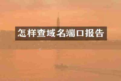 怎样查域名端口报告
