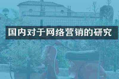 国内对于网络营销的研究