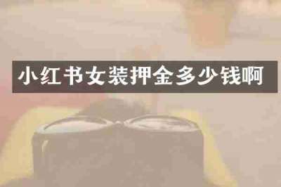 小红书女装押金多少钱啊