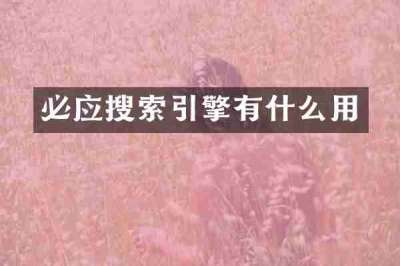 必应搜索引擎有什么用