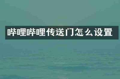 哔哩哔哩传送门怎么设置