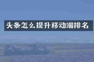 头条怎么提升移动端排名