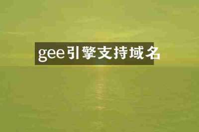 gee引擎支持域名