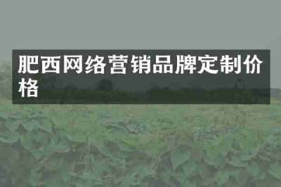肥西网络营销品牌定制价格
