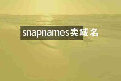 snapnames卖域名