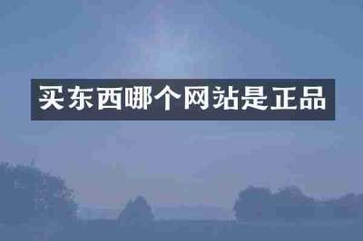 买东西哪个网站是正品