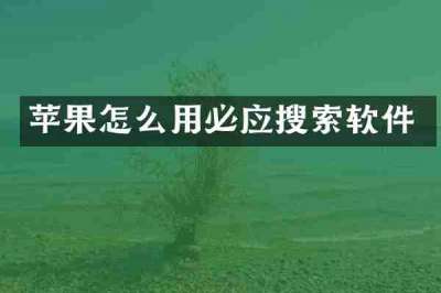 苹果怎么用必应搜索软件