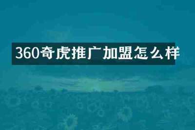 360奇虎推广加盟怎么样