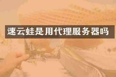 速云蛙是用代理服务器吗