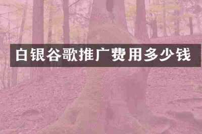 白银谷歌推广费用多少钱