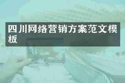 四川网络营销方案范文模板