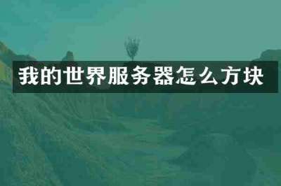 我的世界服务器怎么方块